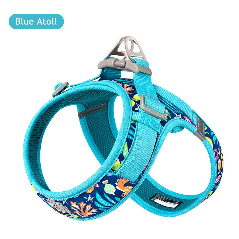 Floral Mesh Harness – Breathable All-Weather Pet Walking Harness